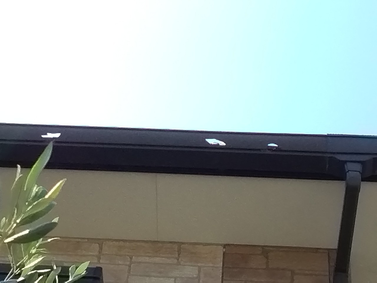 加古郡播磨町　軒樋(角樋　穴